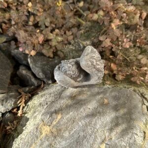 eberin · Grabwelt · Friedhof Grabengel · Trauerengel · Engel liegend in Flügel fürs Grab · Engel · Engelsflügel · Grabdeko mit Engel · grau antik · (zwei Größen) – Bild 4